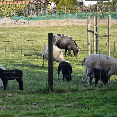 Hemmer Hoeve Buitenkant foto