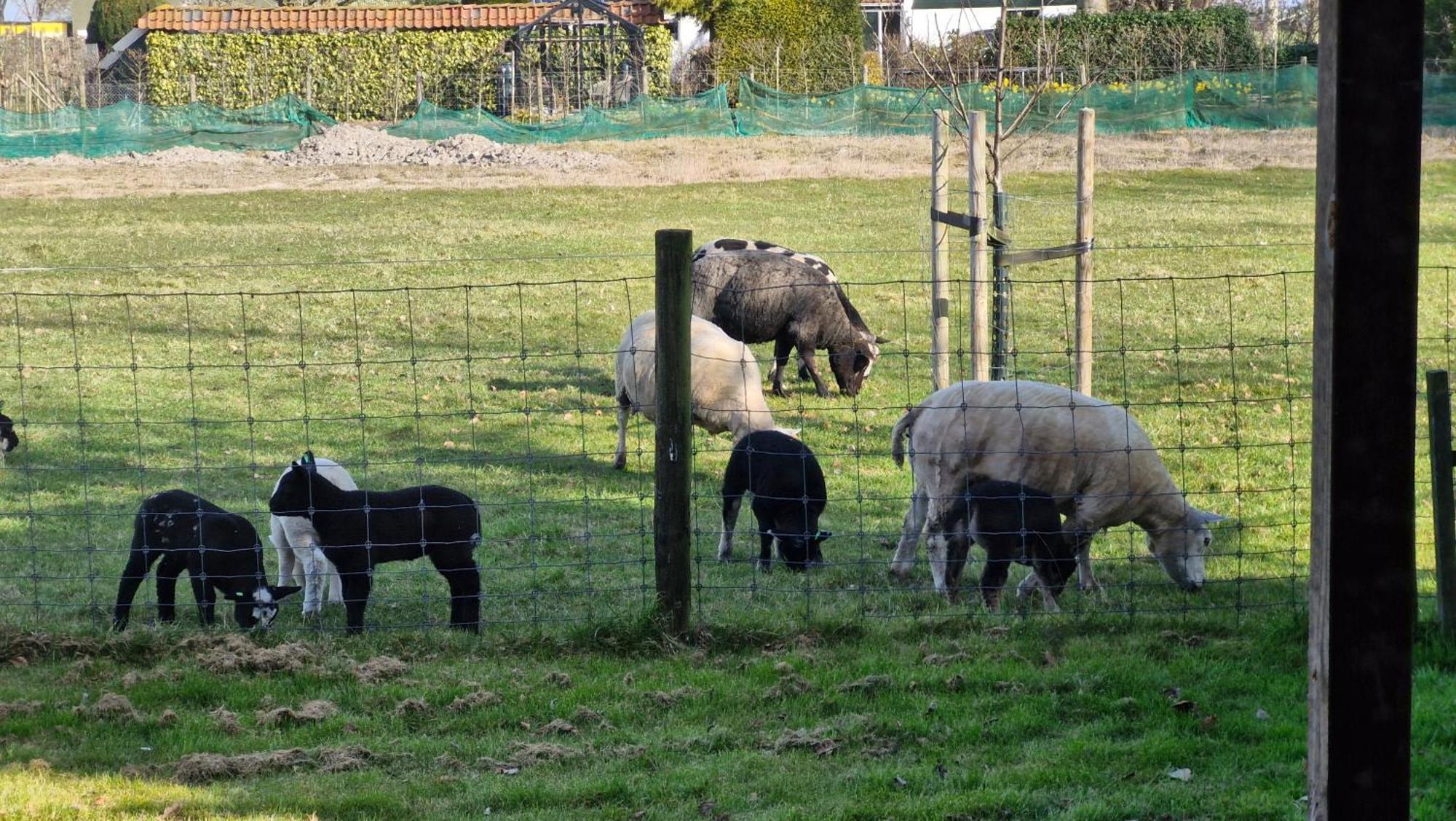 Hemmer Hoeve Buitenkant foto